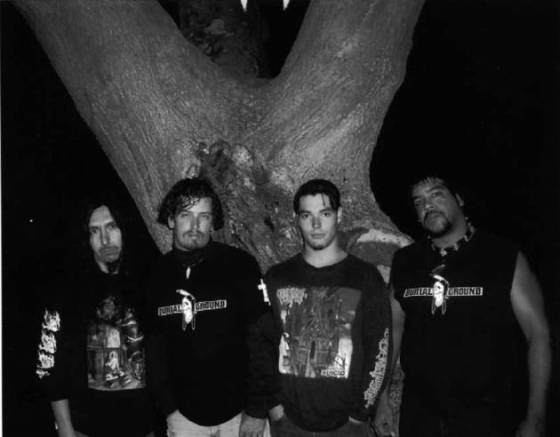 bandphoto2.jpg